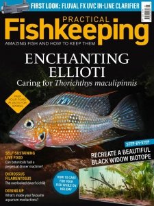 Practical Fishkeeping - 05.2024