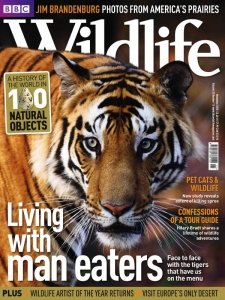 BBC Wildlife - 11.2010