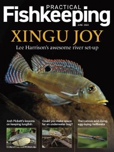 Practical Fishkeeping - 06.2023