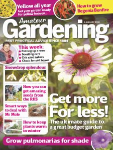 Amateur Gardening - 4.01.2020