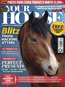 Your Horse - 12.2022