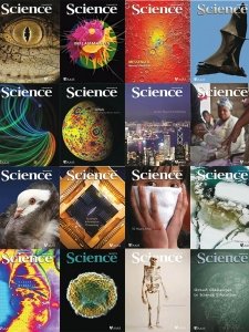 Science - 2013 Full Year