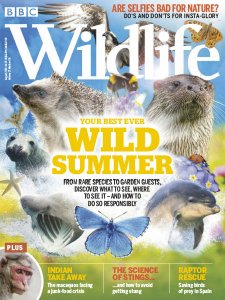 BBC Wildlife - 08.2019