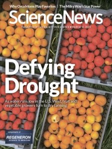 Science News - 03.11.2023