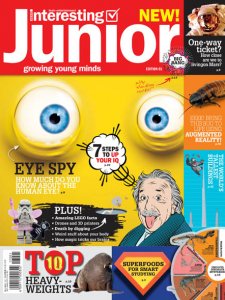 Very Interesting Junior - 11.2017