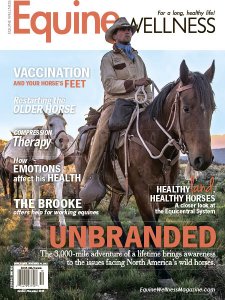 Equine Wellness - 10/11 2015