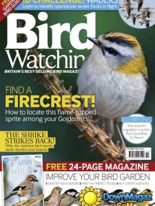 Bird Watching UK – October 2015