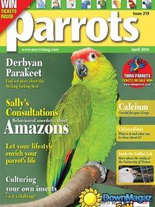 Parrots - April 2016