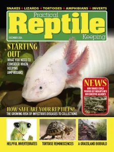 Practical Reptile Keeping - 12.2024