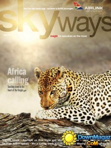 Skyways - May 2015