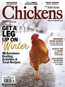 Chickens - 01/02 2022