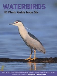 Bird ID Photo Guide - Is. 6 2023