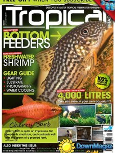 Tropical Habitat UK - June/July 2014