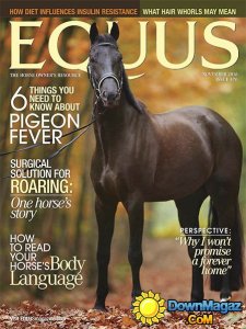 Equus - November 2016