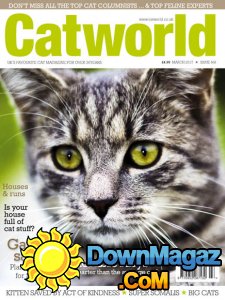 Cat World - 03.2017