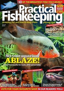 Practical Fishkeeping - 07.2015