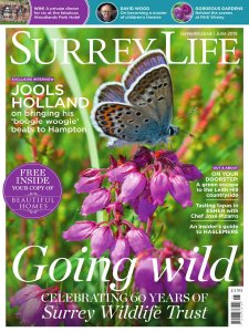 Surrey Life - 06.2019