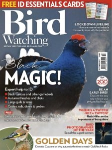 Bird Watching UK - 10.2021