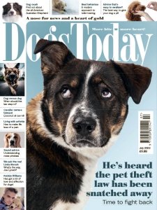 Dogs Today UK - 07.2023