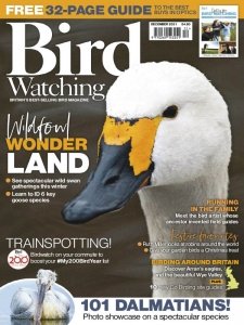 Bird Watching UK - 12.2021