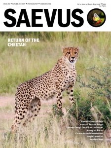 Saevus - 03/05 2022