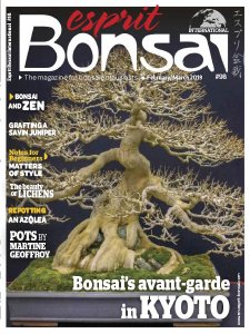 Esprit Bonsai International - 02/03 2019