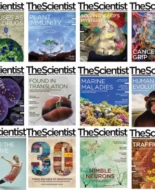 The Scientist - 2016 Full Year