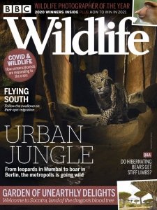 BBC Wildlife - 11.2020