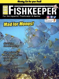 The Fishkeeper - 07/08 2022