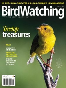 BirdWatching USA - 07/08 2023