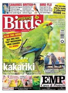 Cage & Aviary Birds – 26 May 2021