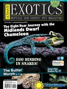 Ultimate Exotics - January/February 2015