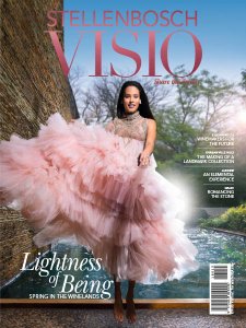 Stellenbosch Visio - Spring 2018