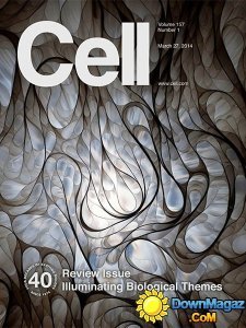 Cell - 27 March 2014