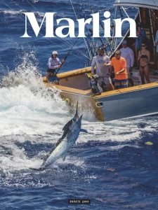 Marlin - 07/08 2025