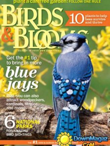 Birds & Blooms - February/March 2015