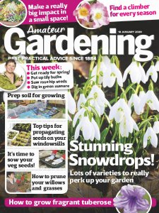 Amateur Gardening - 18.01.2020