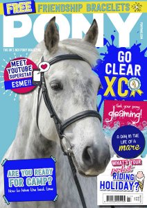 Pony - 07.2018