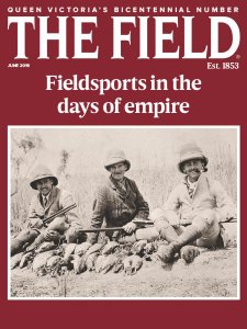 The Field - 06.2019