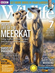 BBC Wildlife - December 2013