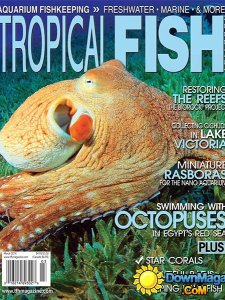 Tropical Fish Hobbyist - March 2014