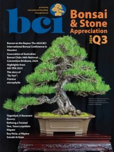 BCI Bonsai & Stone Appreciation - 07/10 2024