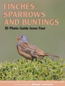 Bird ID Photo Guide - Is. 4 2023