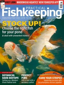 Practical Fishkeeping - 06.2024