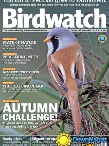 Birdwatch UK - October 2016