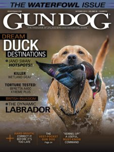 Gun Dog - 10.2019