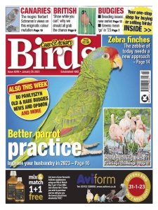 Cage & Aviary Birds - 25.01.2023