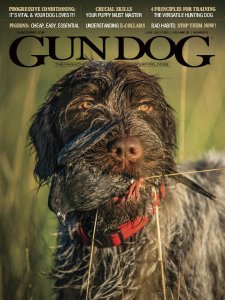 Gun Dog - 06/07 2020