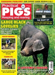 Practical Pigs - Summer 2020