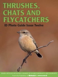 Bird ID Photo Guide - Is. 12 2023